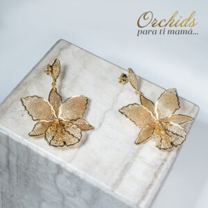 Aretes Oncidium