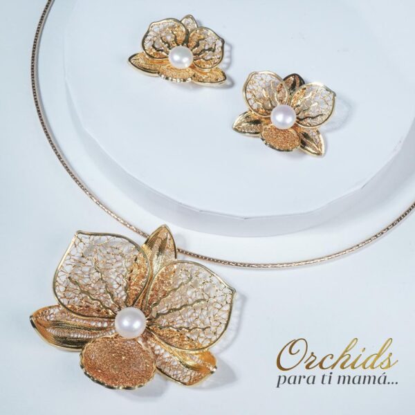 Collar Cattleya
